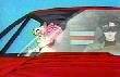 Darien Driving Rini ("Sailor Mercury Moving On?")
