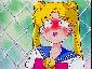 Doh! ("Match Point for Sailor Moon")