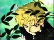 Hiding in the Bushes