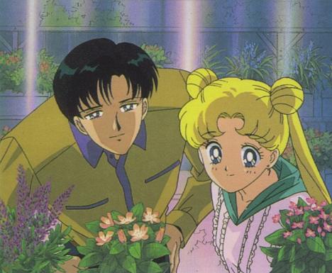 Looking at the Flowers ("The Promise of the Rose")