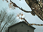 april2002_01