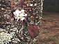 april2002_02