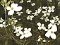 april2002_09