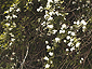 may2002_02