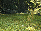 july2003_13