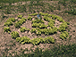may_june2003_01
