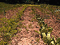 may_june2003_07