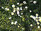 may_june2003_09