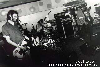 Budd 2 &copy;sbooth.jpg