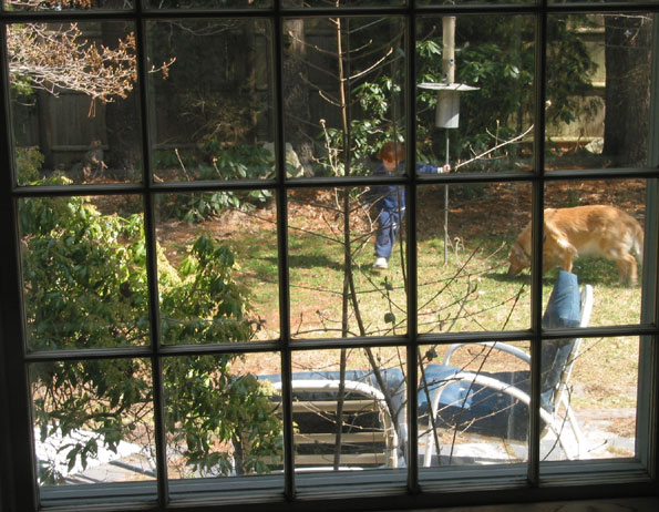 Window View