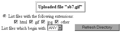 File Manager Screen Shot