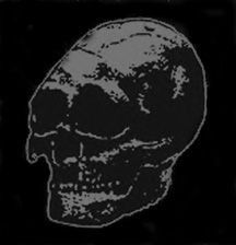 Interview with the Almighty SKULL!!!