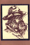 bushman.JPG (60812 bytes)