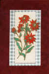 redflowers.JPG (66467 bytes)