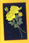 roses_yellow.JPG (156199 bytes)