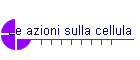 Le azioni sulla cellula