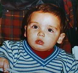 12 meses