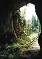 Cave