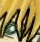 Quatre