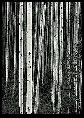 This way?