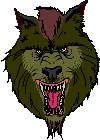A WOLF!!!!