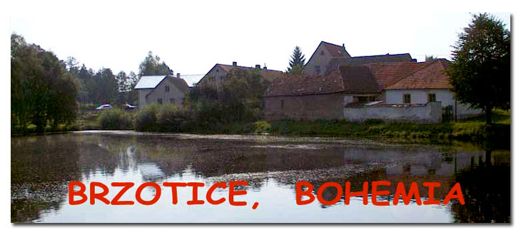 A photo of Brzotice