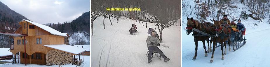 peisaj de iarna