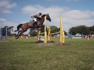 Show Jumping at the Festival.