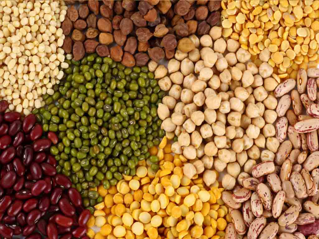 Agro Products