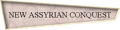 NEW ASSYRIAN CONQUEST