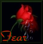 by www.wizwebsitedesign.com
