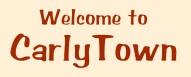 Welcome to CarlyTown: Books, Lists & Opinions