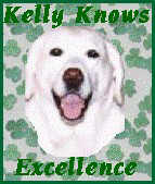 Kelly knows award 07/13/97