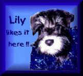 Lily's award 10/26/97