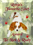 Ronja's award 12/01/97