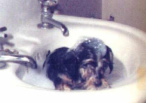 chester bath1