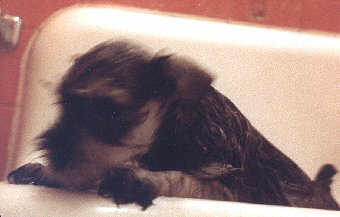 jamie bath