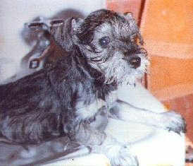 jesse bath1