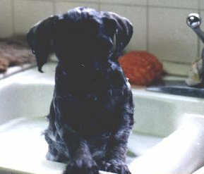 nick bath
