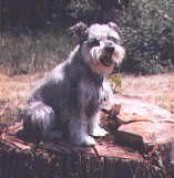 jesse photo2