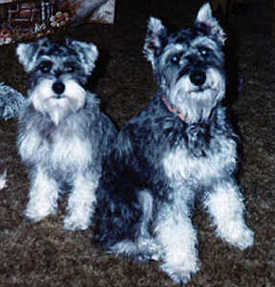 MaxSidney photo