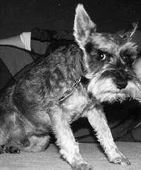 Max