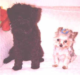 Max and Suzy-Q