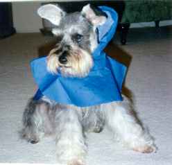 Missy
