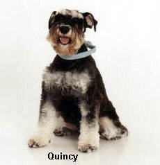 Quincy