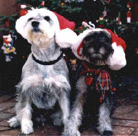 Jamie and Nick XMAS 1988 15K