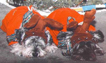 Jamie and Nick XMAS 1991 16K