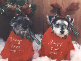 Jamie and Nick XMAS 1991 11K