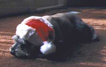 Jamie XMAS 1988 9K