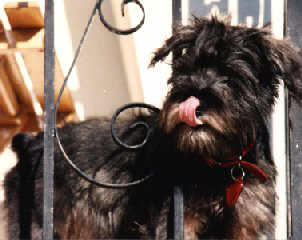 Nick look at my tongue 13K